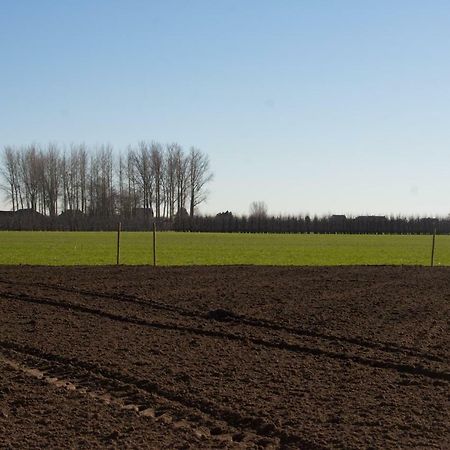 Villa 'Op De Borgt' Met Finse Grill Kota Wellen Esterno foto