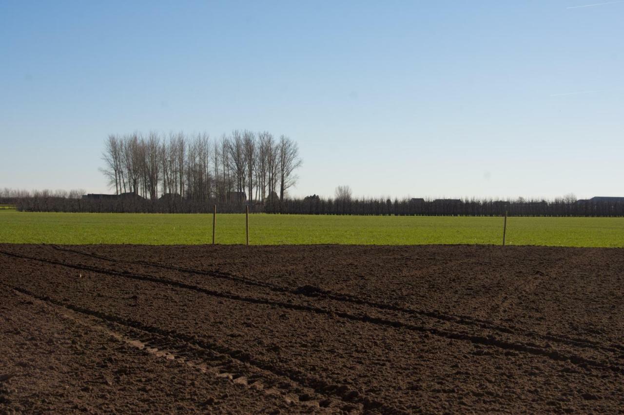 Villa 'Op De Borgt' Met Finse Grill Kota Wellen Esterno foto