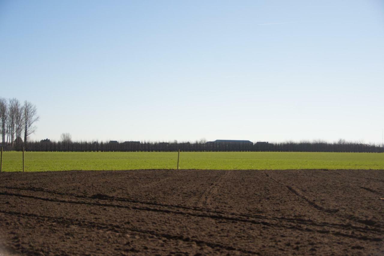 Villa 'Op De Borgt' Met Finse Grill Kota Wellen Esterno foto